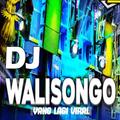 DJ Wali Songo