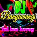 DJ Banyuwangi