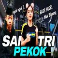 DJ Santri Pekok