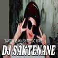 DJ Saktenane