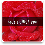 صور ورود وازهار بدون نت