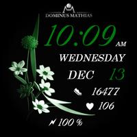 DM054 Flower Fest Party تصوير الشاشة 3