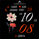 DM064 Flower Birthday Party أيقونة