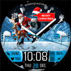 DM079 Christmas & Holiday أيقونة