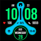 DM118 Allrounder Watch Face أيقونة