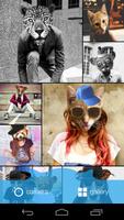 Meow Animal Face Photo Editor poster