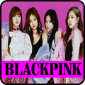 Blackpinkk All Songs Offline