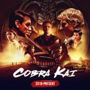 Cobra Kai Quiz APK