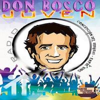 DON BOSCO JOVEN স্ক্রিনশট 2