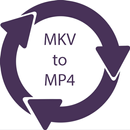 MKV to MP4 Converter APK