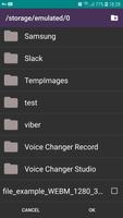 1 Schermata WEBM to MP4 Converter