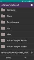MKV to MP3 Converter 截图 1
