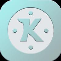 Hint Pro For Kine Master Free Video Editing Guide screenshot 1