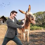 My Friend with Donkey : Funny