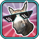 Donkey Sounds and Ringtones APK