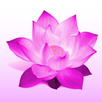 iDhammapada APK