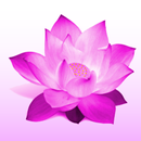 iDhammapada APK