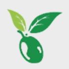 Olive Agro 图标