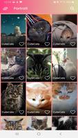Cute Cats Wallpaper HD - Wallpapers Cats capture d'écran 1