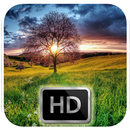 Sunset Wallpapers And Backgrounds - Sunset Screen APK