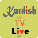 Kurdish Tv Pro APK