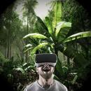 The Walk VR | Beautiful jungle APK