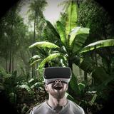 The Walk VR Zeichen