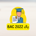 دروس وملخصات باك كل الشعب 2022 icono