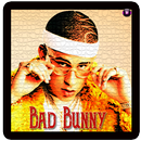 Bad Bunny Ft. J.Balvin - QUE PRETENDES Song Lyrics APK