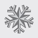 Silver Star Shuttle APK