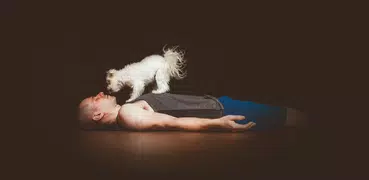 Yoga für Anfänger | Down Dog
