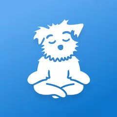 Meditation | Down Dog APK download