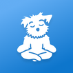 Meditazione | Down Dog