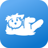 Pilates | Down Dog