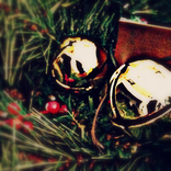 Sleigh Bells Ring