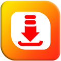 video downloader