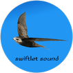 download suara walet