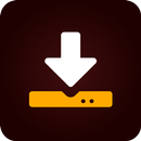All Video Downloader SaveNow APK