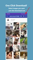 All Downloader for Instagram - Video, Photo, Story imagem de tela 2