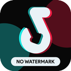 Video Downloader For Tiktok - No Watermark icône
