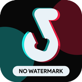 Video Downloader For Tiktok - No Watermark icône