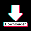 TT Downloader - SSSTiktok