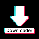 Descárgar TT Video - SSSTiktok APK