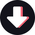 Video downloader for TikTok