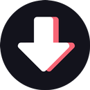 Video downloader for TikTok APK