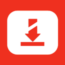 Video Downloader - App APK