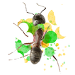 Ant and fly Smasher