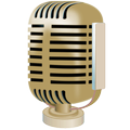 Voice Recorder with Equalizer