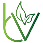 BestVeggies Online Vegetable Shopping App Vadodara icône