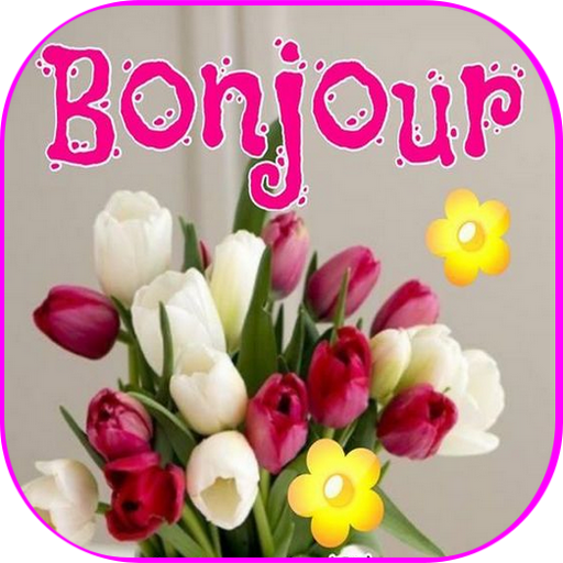 Bonjour Bonsoir Bonne Nuit